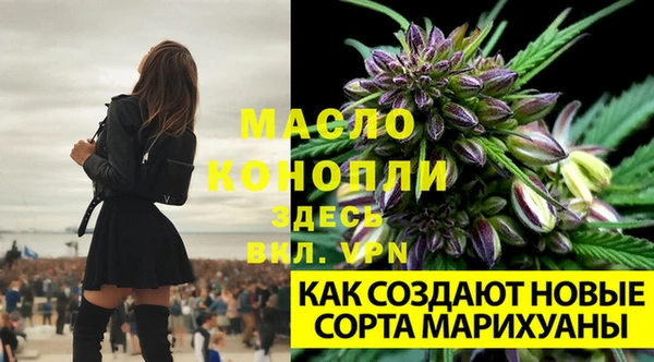 mix Армянск